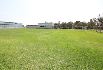 Campo de fútbol