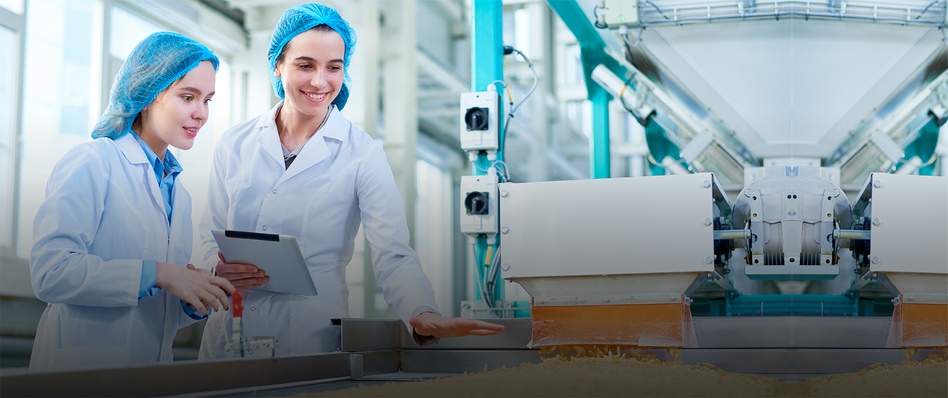 Ingeniería en Industrias Alimentarias