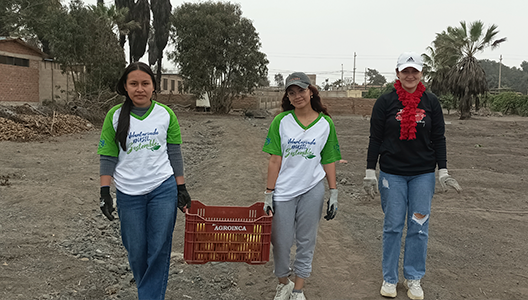 Donación de alimentos a ollas comunes Donación de alimentos a ollas comunes