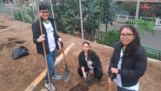 Sembrando árboles en Pachacamac Sembrando árboles en Pachacamac