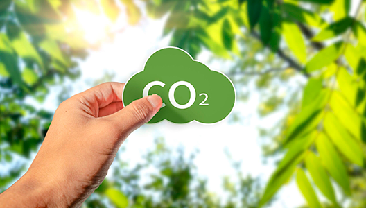 Medición de la huella de carbono en Sostenibilidad USIL Medición de la huella de carbono en Sostenibilidad USIL