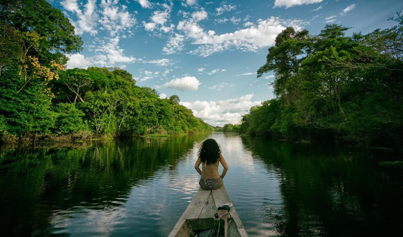 Bosques Perú Bosques Perú